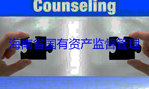 资产监督管海南省国有有福接受审理委员会党委副书记王查调查